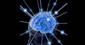 Cerebro pensante la ley de la atraccion